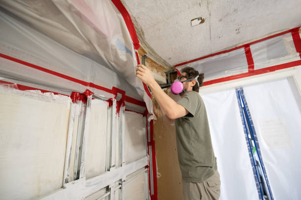 Best Black Mold Removal  in , AK
